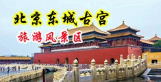 淫荡妇操中国北京-东城古宫旅游风景区